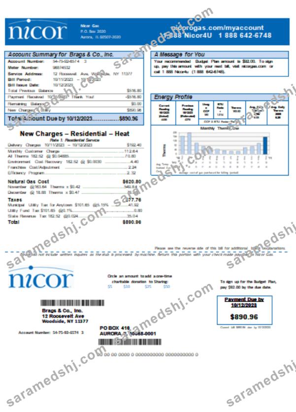 Illinois Nicor gas business utility bill SCR